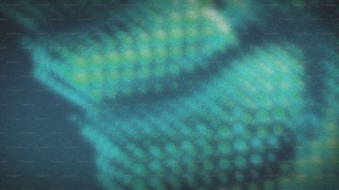 《歌手2024》揭榜成功 许钧：日子和音乐的实质便是实在